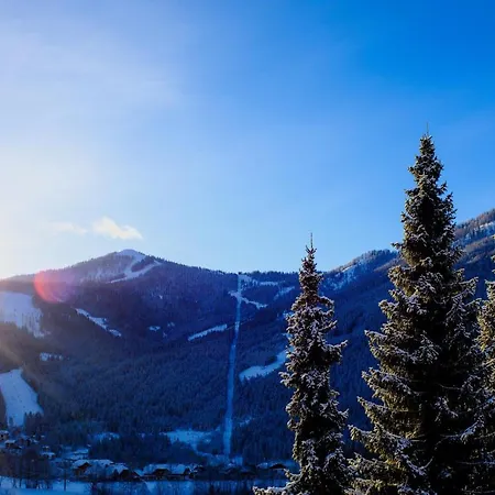 公寓 哈比奇公寓 巴德小基希海姆