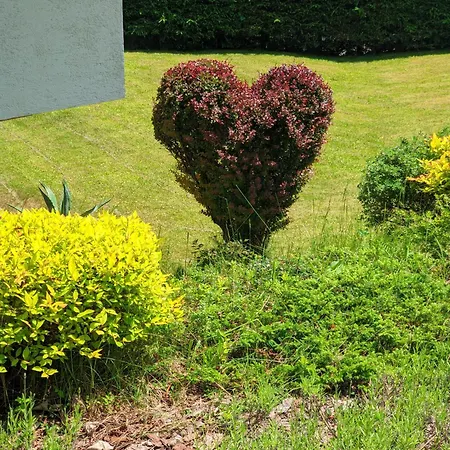 公寓 哈比奇公寓 巴德小基希海姆