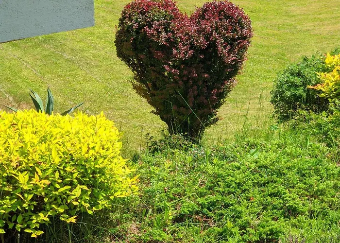 公寓 哈比奇公寓 巴德小基希海姆